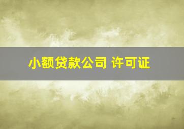 小额贷款公司 许可证